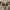 Toiledart Tableau peinture colorée lianes fleuries Toile