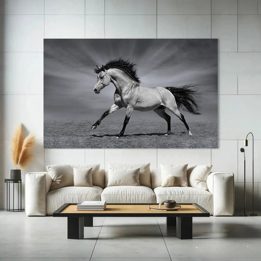 Toiledart Toile 40x30 Tableau cheval noir et blanc